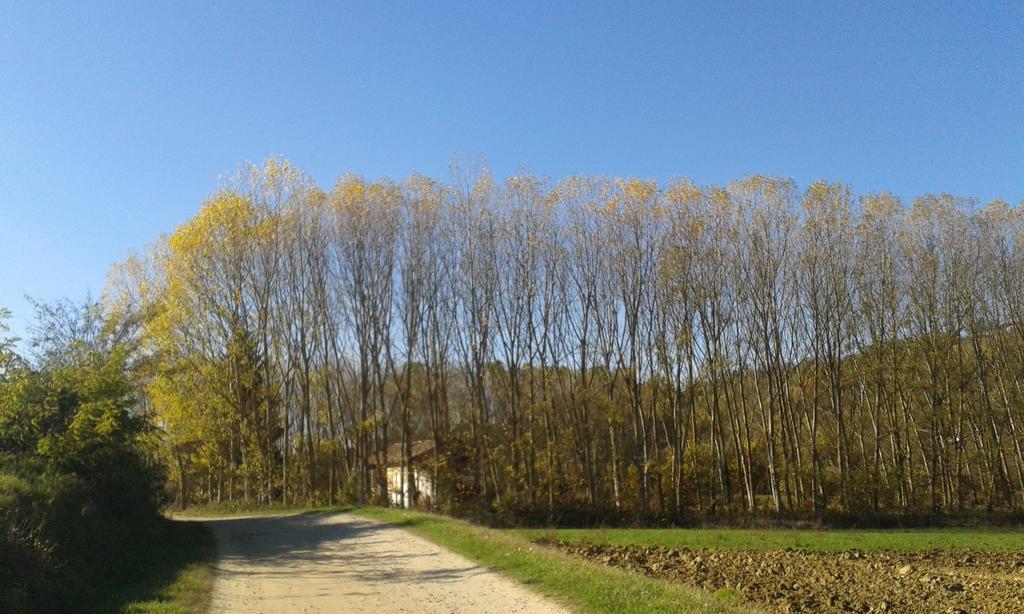 Vista Sul Patrimonio Dell'Unesco Cortiglione Екстер'єр фото